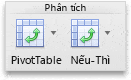 Tab Dữ liệu, nhóm Phân tích